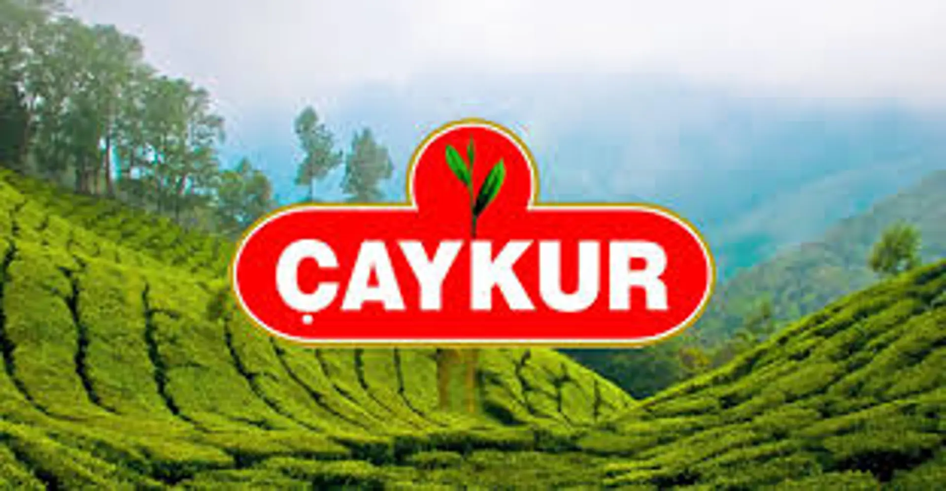 Çay İşletmeleri Genel Müdürlüğü (ÇAYKUR) Duyurusu